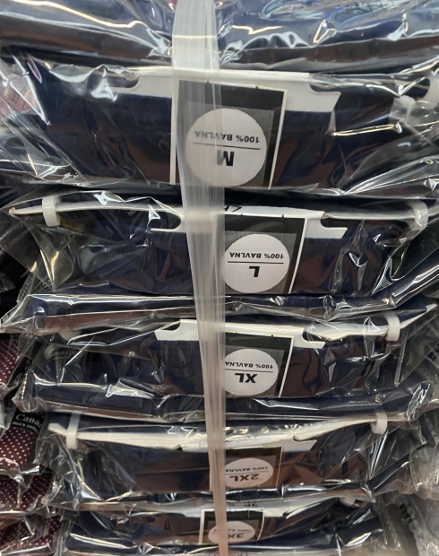 Pánská košile s dlouhým rukávem CANARY (M-4XL)