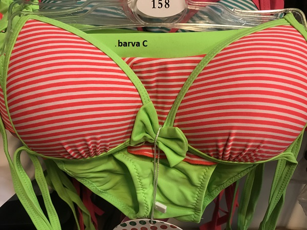 Dívčí dvoudílné plavky SEFON (158-170)