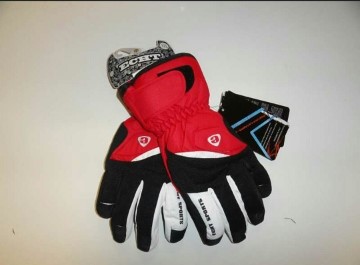 Pánské zimní lyžařské rukavice ECHT (L-XXL)