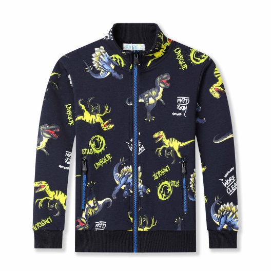 Chlapecká jarní mikina KUGO (98-128) 