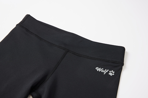 Dámské funkční legíny  WOLF (M-2XL)