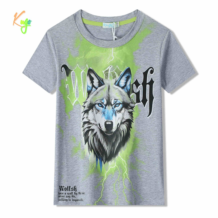 Chlapecké triko s krátkým rukávem KUGO (116-146) 