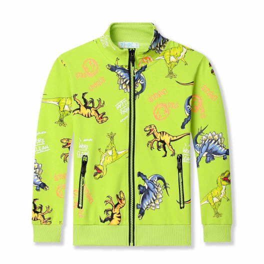 Chlapecká jarní mikina KUGO (98-128) 