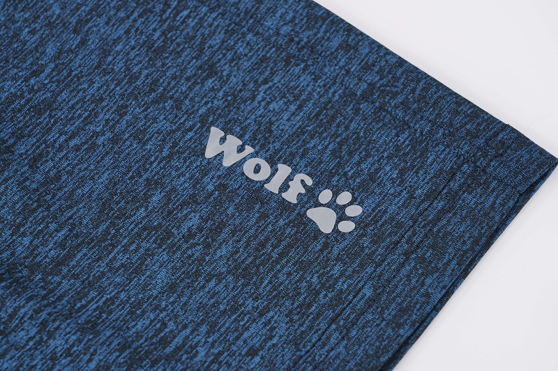 Pánské funkční šortky WOLF (M-3XL)