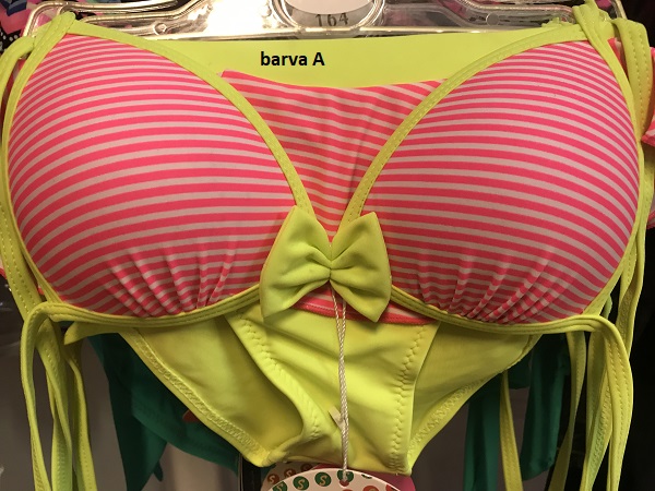 Dívčí dvoudílné plavky SEFON (158-170)