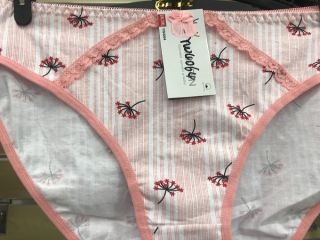 Dámské spodní kalhotky FANNIFEN (M-2XL)