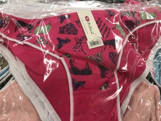 Dámské spodní  kalhotky PESAIL (M-XXL)