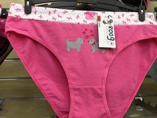 Dámské spodní  kalhotky PESAIL (M-XXL)
