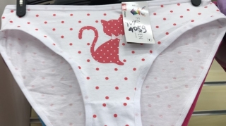 Dámské spodní kalhotky PESAIL (M-XXL)