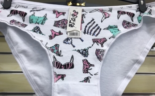 Dámské spodní kalhotky PESAIL (M-XXL)