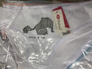 Dámské spodní kalhotky FANNIFEN (M-2XL)