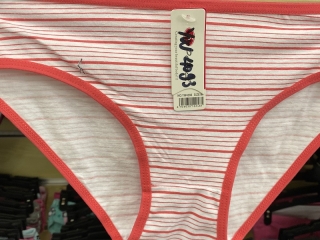 Dámské spodní kalhotky FANNIFEN (M-2XL)