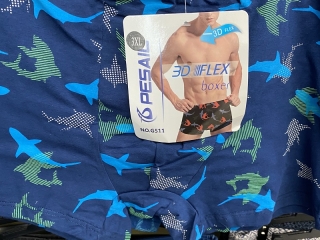 Pánské bavlněné boxerky PESAIL  (M-XXL)