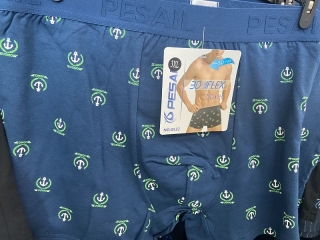 Pánské trenkoslipy /boxerky/ PESAIL (M-3XL)