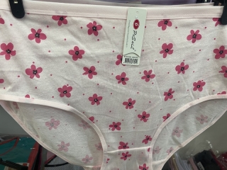Dámské spodní  kalhotky PESAIL (M-XXL)