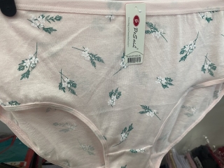 Dámské spodní  kalhotky PESAIL (M-XXL)