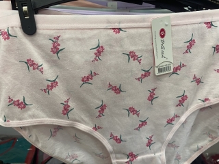 Dámské spodní  kalhotky PESAIL (M-XXL)