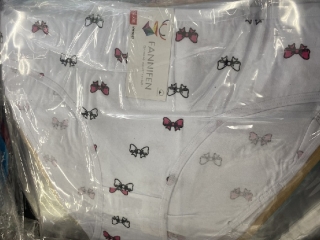 Dámské spodní kalhotky Fannifen (M-XXL)