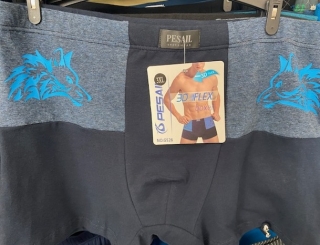 Pánské bavlněné trenkoslipy PESAIL (M-3XL)