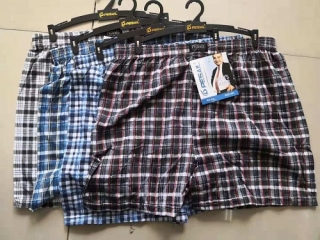 Pánské  trenkoslipy (boxerky) PESAIL (XL-5XL)