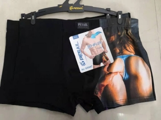 Pánské  trenkoslipy (boxerky) PESAIL (L-3XL)