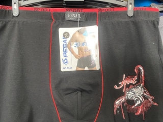 Pánské trenkoslipy /boxerky/ PESAIL (l-3XL)