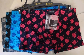 Pánské trenkoslipy /boxerky/ PESAIL (M-3XL)