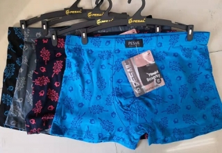 Pánské trenkoslipy /boxerky/ PESAIL (M-3XL)