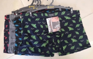 Pánské trenkoslipy /boxerky/ PESAIL (M-3XL)