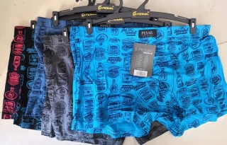 Pánské trenkoslipy /boxerky/ PESAIL (M-3XL)