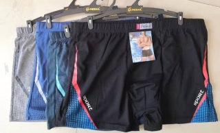 Pánské trenkoslipy /boxerky/ PESAIL (M-3XL)