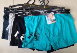 Pánské trenkoslipy /boxerky/ PESAIL (M-3XL)