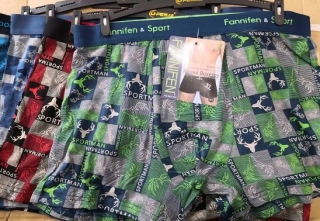 Pánské bavlněné trenkoslipy (boxerky) FANIFEN (L-3XL)