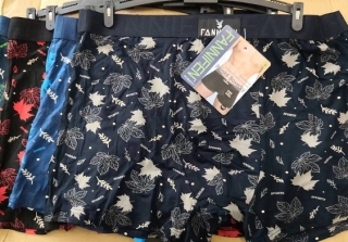 Pánské trenkoslipy (boxerky) Fainifen (L-3XL)