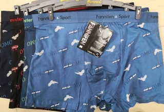 Pánské  trenkoslipy (boxerky) Fainifen (L-3XL)