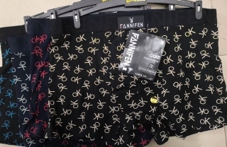Pánské  trenkoslipy (boxerky) Fainifen (L-3XL)
