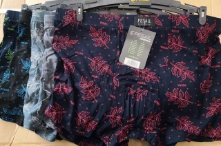 Pánské  trenkoslipy (boxerky) Fainifen (L-3XL)