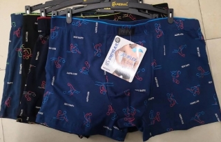 Pánské  trenkoslipy (boxerky) Fainifen (L-3XL)