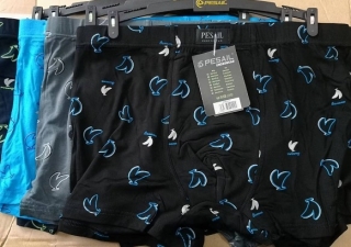 Pánské  trenkoslipy (boxerky)  Pesail(L-3XL)