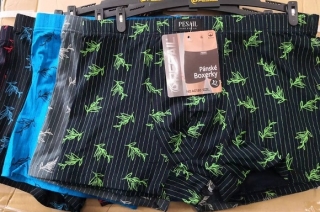 Pánské  trenkoslipy (boxerky)  Pesail(L-3XL)