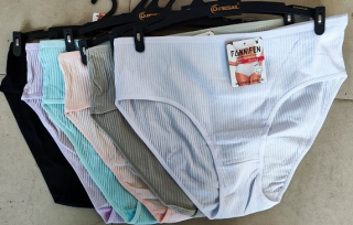 Dámské spodní  kalhotky PESAIL (M-XXL)