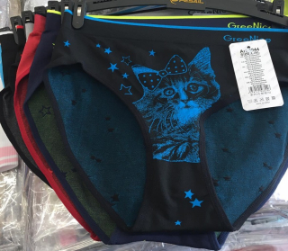 Dámské bezešvé vysoké spodní kalhotky GREENICE (L-3XL)