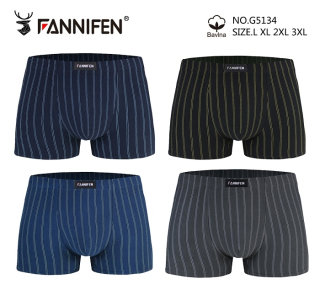 Pánské trenkoslipy /boxerky/ Fanifen(L-3XL)