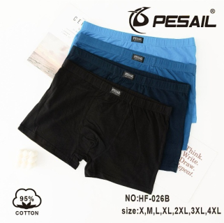 Pánské  trenkoslipy (boxerky) PESAIL (S-4XL)