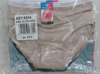 Dámské spodní kalhotky (XL-3XL)