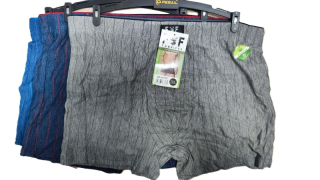 Pánské trenkoslipy (boxerky) Pesail (L-3XL)