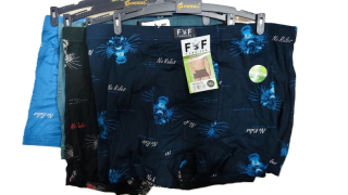 Pánské trenkoslipy (boxerky) Pesail (L-3XL)