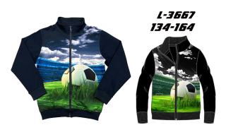 Chlapecká  obrázková mikina SEZON (134-164 