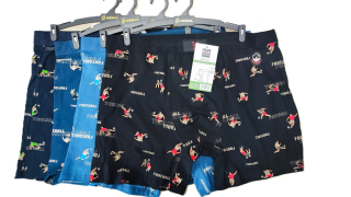 Pánské trenkoslipy (boxerky) PESAIL (L-3XL)