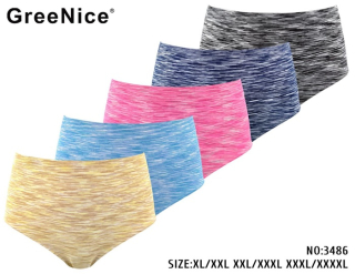Dámské bezešvé spodní kalhotky PESAIL (XL-4XL)